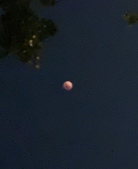 Eclipse