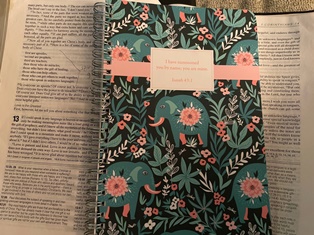 Journal